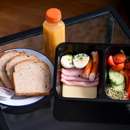 Native Krasinskiego 21 Apartment Krakow